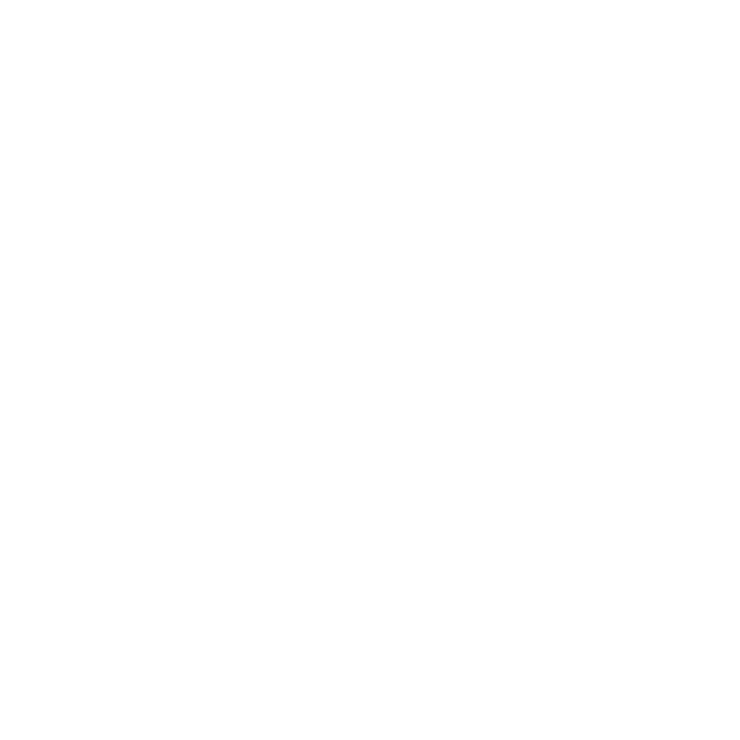 Saint Florence Financial Group